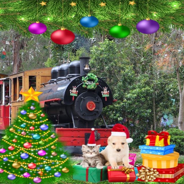 Merry Christmas
