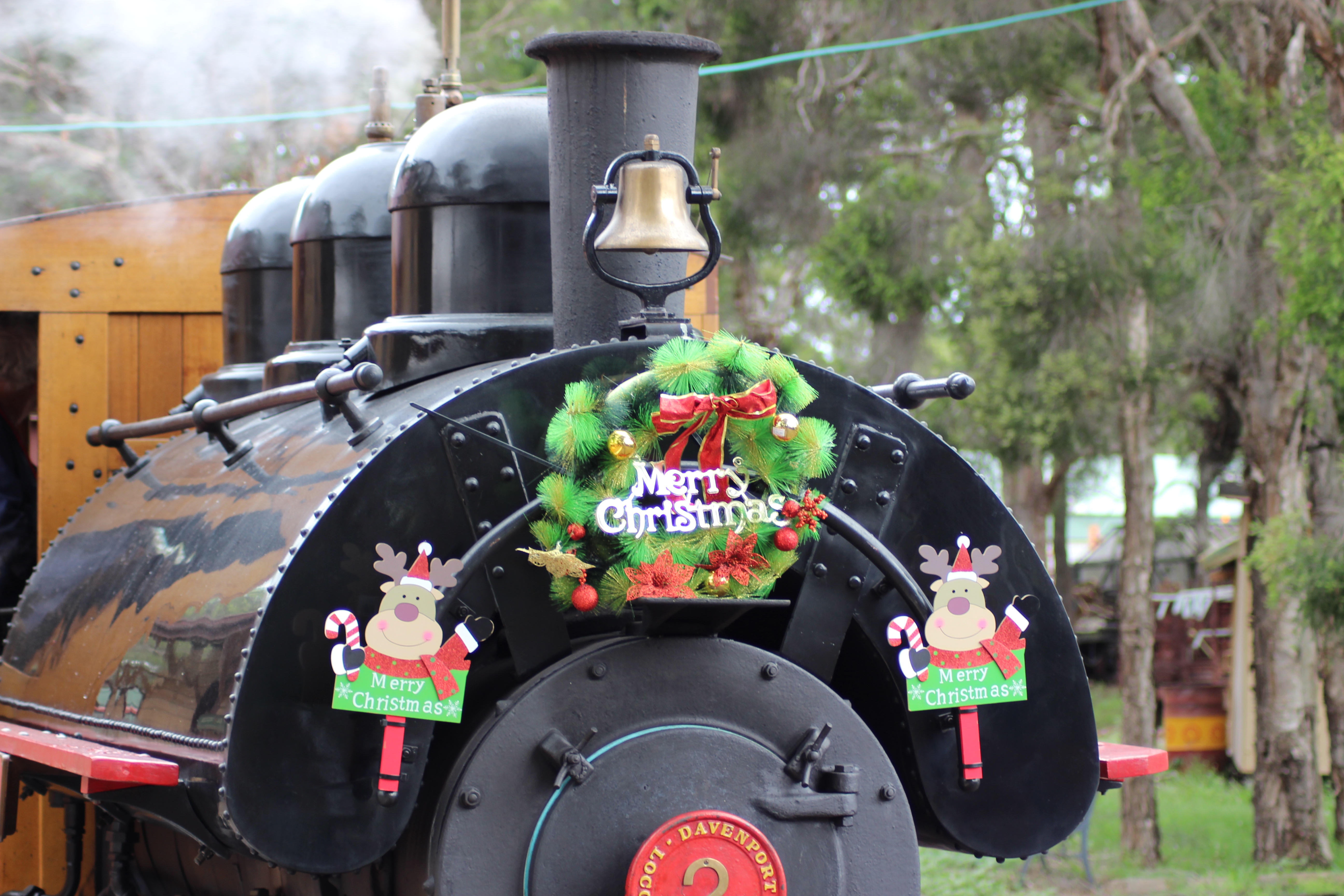 Catch the Christmas Train