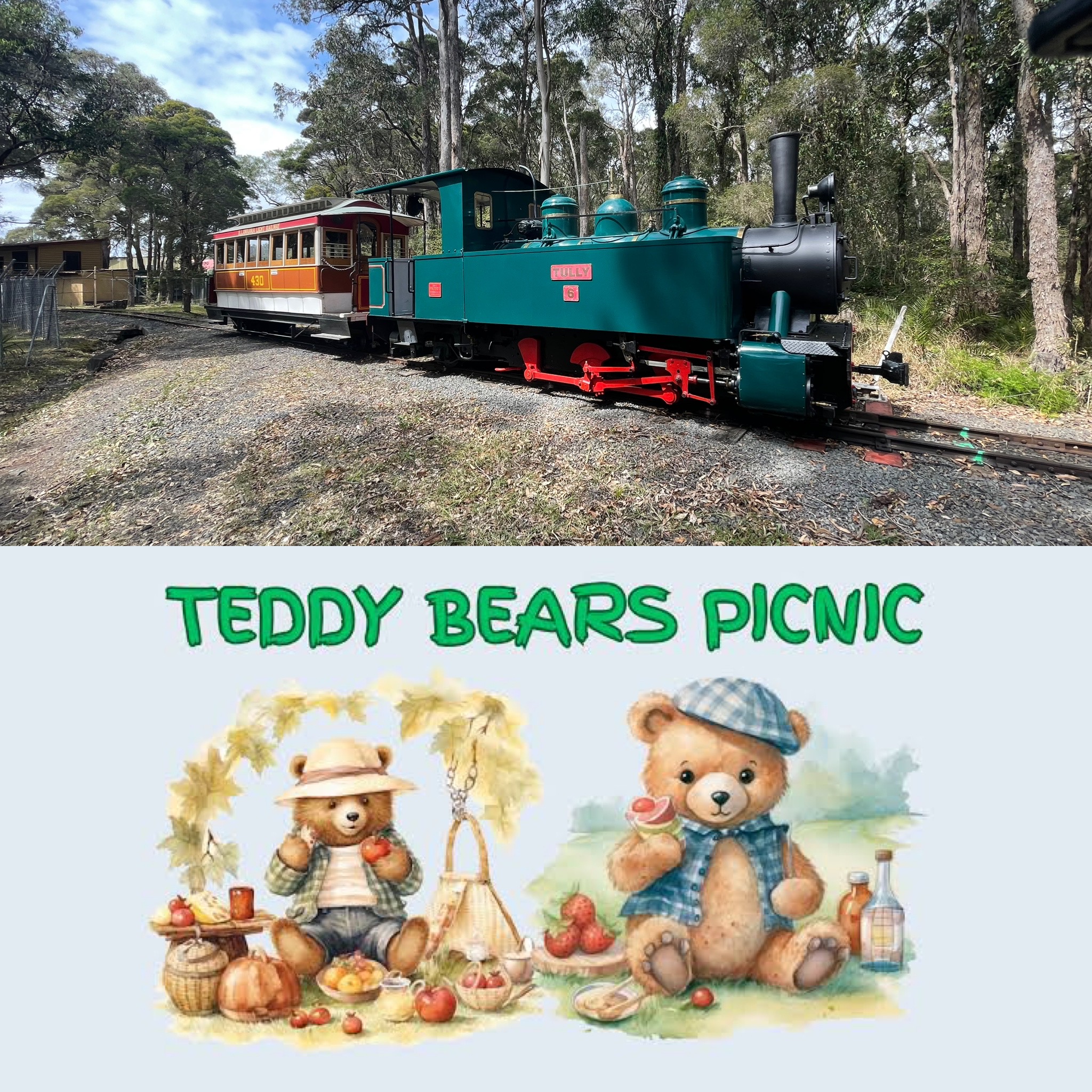 Teddy Bears Picnic